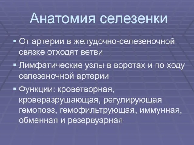 Анатомия селезенки От артерии в желудочно-селезеночной связке отходят ветви Лимфатические узлы в воротах