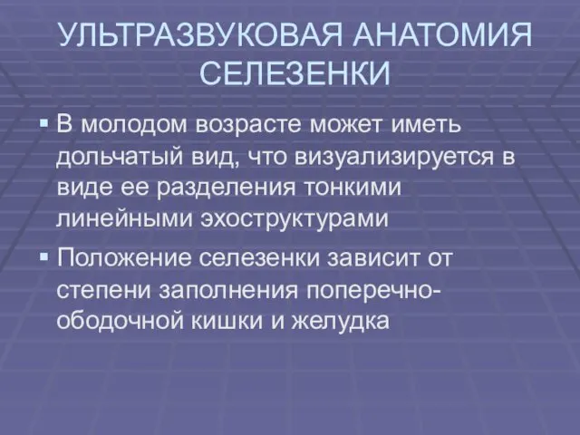 УЛЬТРАЗВУКОВАЯ АНАТОМИЯ СЕЛЕЗЕНКИ В молодом возрасте может иметь дольчатый вид, что визуализируется в