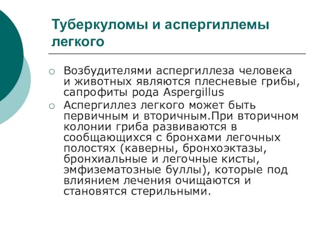 Туберкуломы и аспергиллемы легкого Возбудителями аспергиллеза человека и животных являются