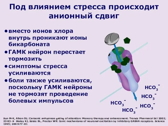 Под влиянием стресса происходит анионный сдвиг вместо ионов хлора внутрь