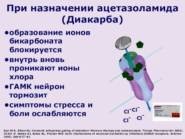 При назначении ацетазоламида (Диакарба) образование ионов бикарбоната блокируется внутрь вновь