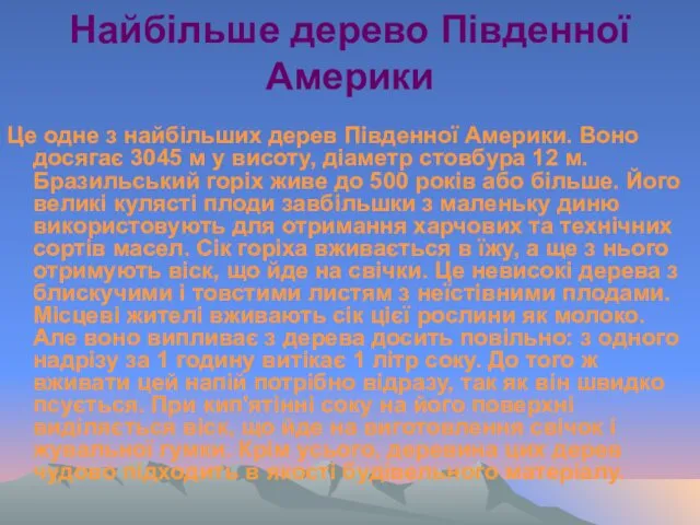 Це одне з найбільших дерев Південної Америки. Воно досягає 3045