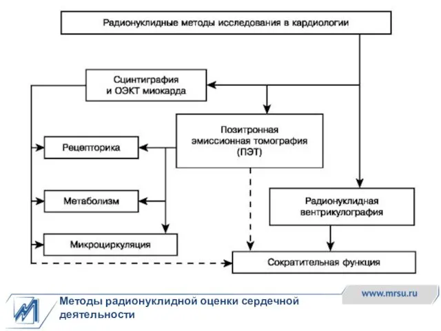 Методы радионуклидной оценки сердечной деятельности