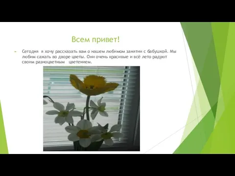 Всем привет! Сегодня я хочу рассказать вам о нашем любимом