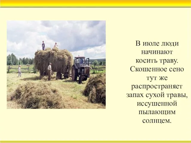 В июле люди начинают косить траву. Скошенное сено тут же распространяет запах сухой