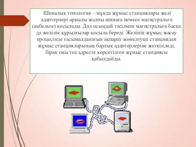 Шиналық топология – мұнда жұмыс станциялары желі адаптерлері арқылы жалпы