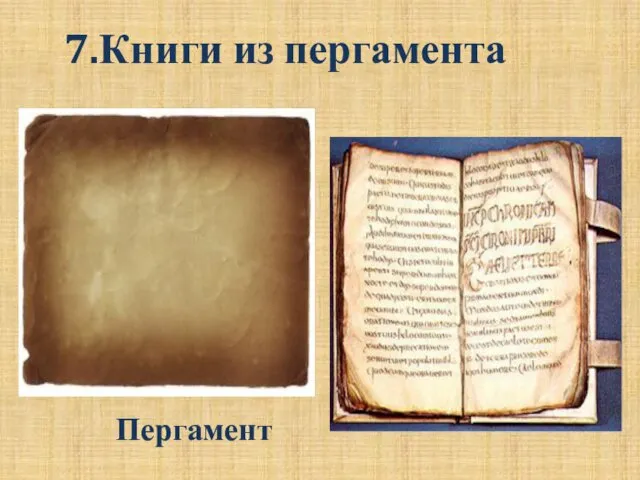 7.Книги из пергамента Пергамент