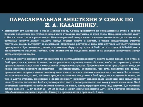 ПАРАСАКРАЛЬНАЯ АНЕСТЕЗИЯ У СОБАК ПО И. А. КАЛАШНИКУ. Выполняют эту анестезию у собак