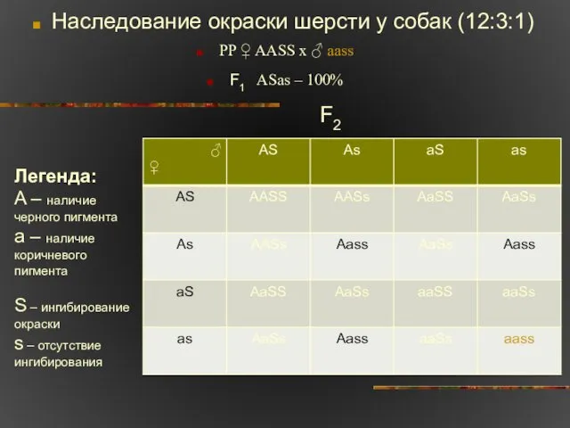 Наследование окраски шерсти у собак (12:3:1) PP ♀ AASS x