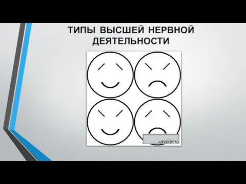 ТИПЫ ВЫСШЕЙ НЕРВНОЙ ДЕЯТЕЛЬНОСТИ