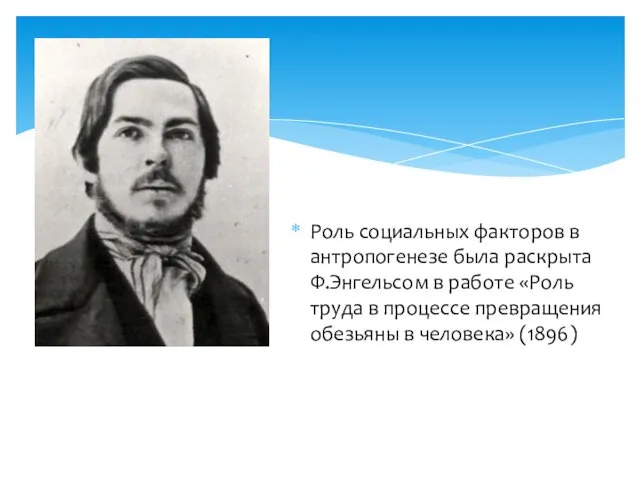 Роль социальных факторов в антропогенезе была раскрыта Ф.Энгельсом в работе