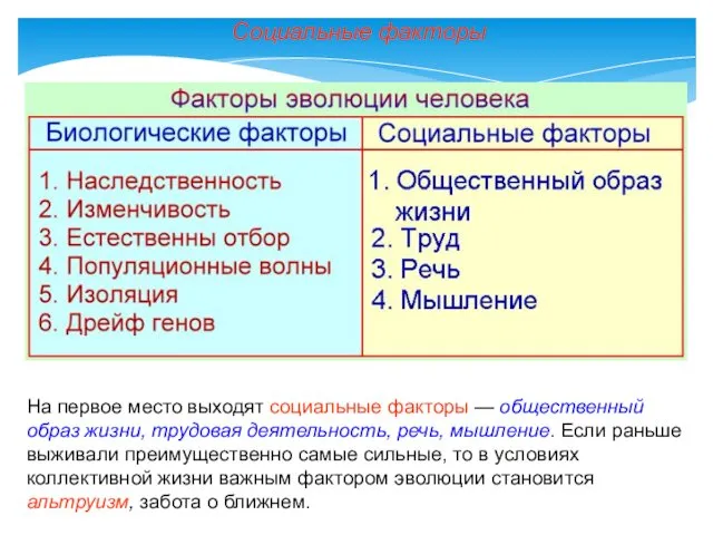 На первое место выходят социальные факторы — общественный образ жизни,