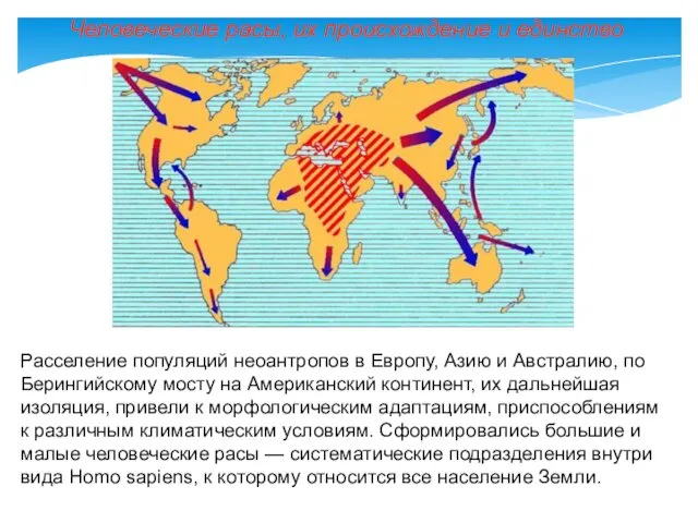 Человеческие расы, их происхождение и единство Расселение популяций неоантропов в