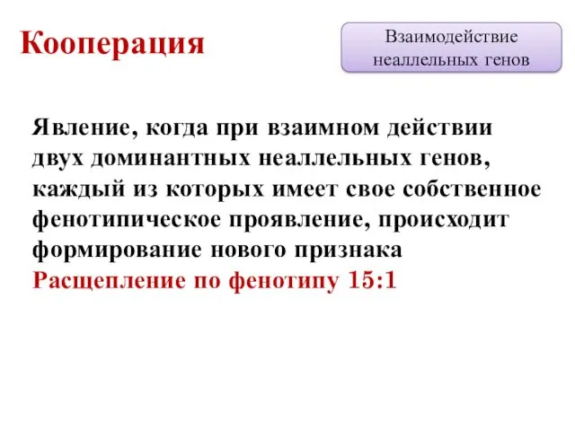 Взаимодействие неаллельных генов Кооперация Явление, когда при взаимном действии двух