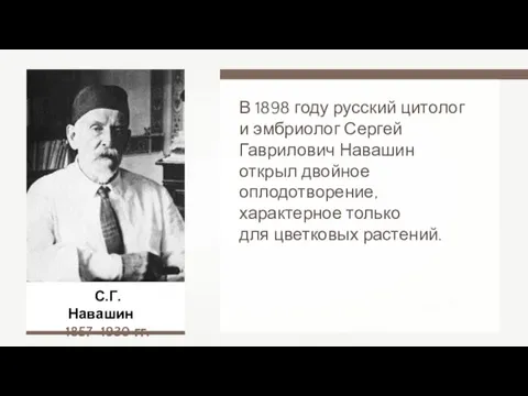 С.Г. Навашин 1857–1930 гг. В 1898 году русский цитолог и