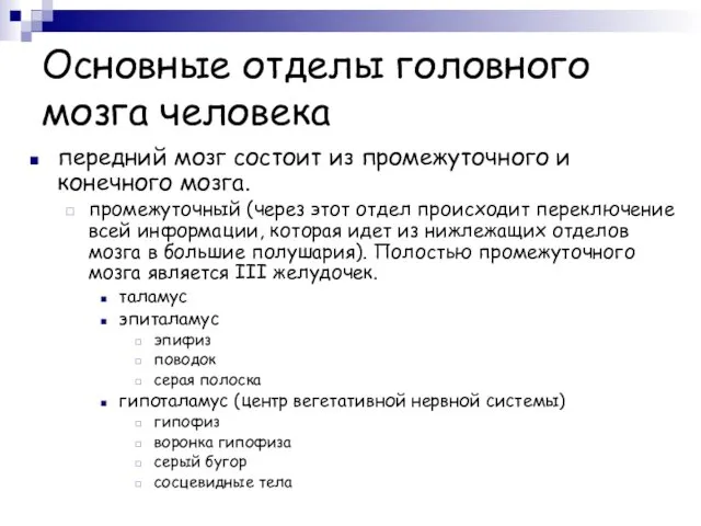 Основные отделы головного мозга человека передний мозг состоит из промежуточного