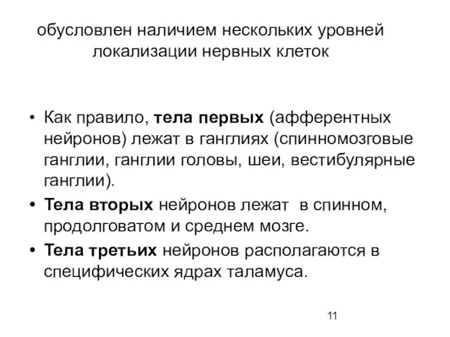 обусловлен наличием нескольких уровней локализации нервных клеток Как правило, тела