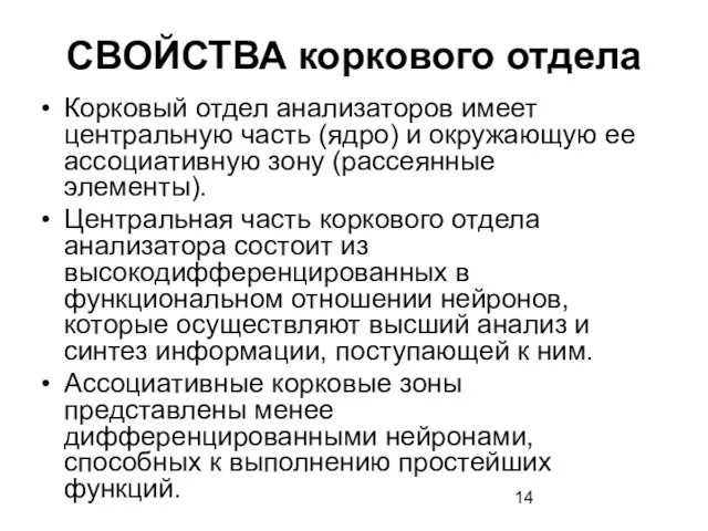 СВОЙСТВА коркового отдела Корковый отдел анализаторов имеет центральную часть (ядро)