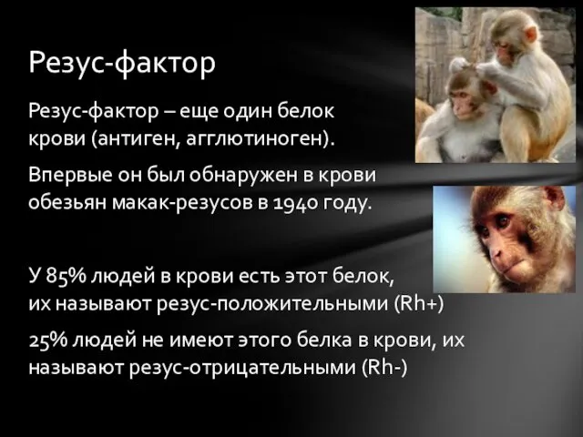 Резус-фактор – еще один белок крови (антиген, агглютиноген). Впервые он