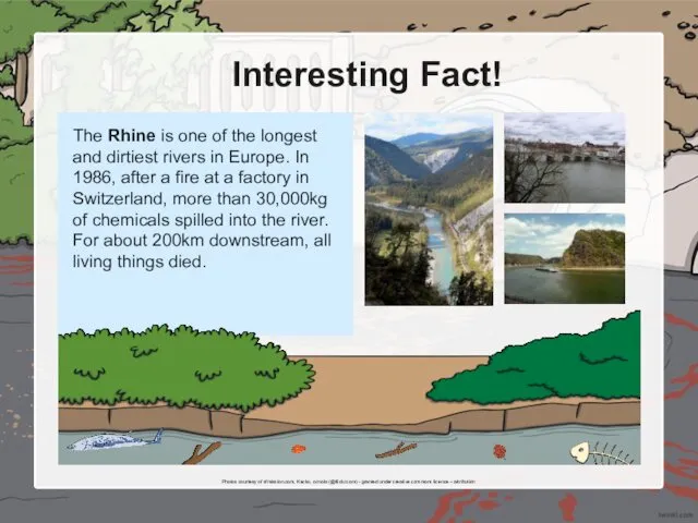 Interesting Fact! The Rhine is one of the longest and dirtiest rivers in