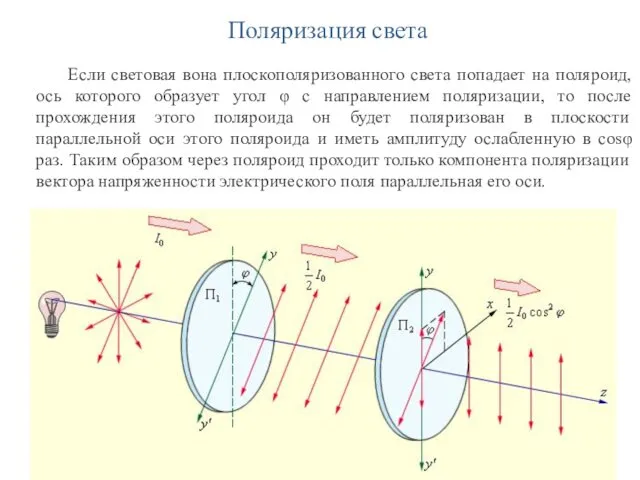 Поляризация света Если световая вона плоскополяризованного света попадает на поляроид,