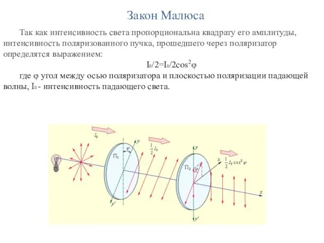 Закон Малюса Так как интенсивность света пропорциональна квадрату его амплитуды,