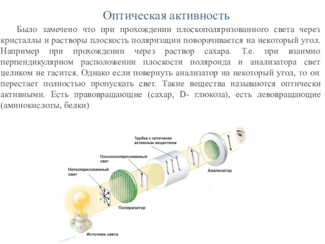 Оптическая активность Было замечено что при прохождении плоскополяризованного света через