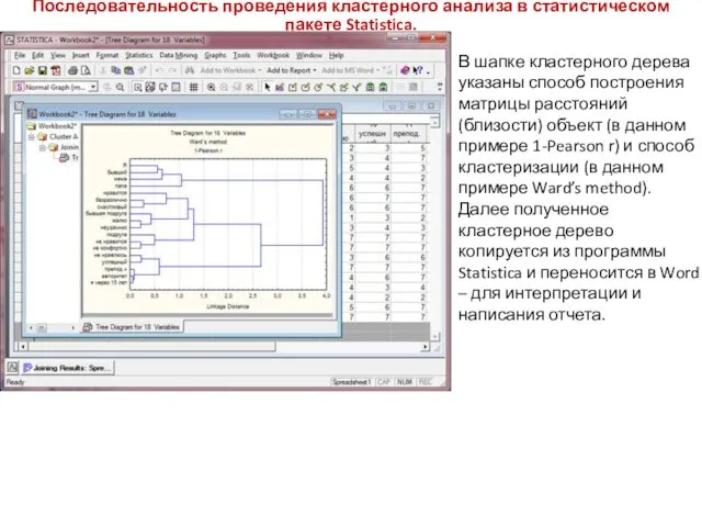 Последовательность проведения кластерного анализа в статистическом пакете Statistica. В шапке