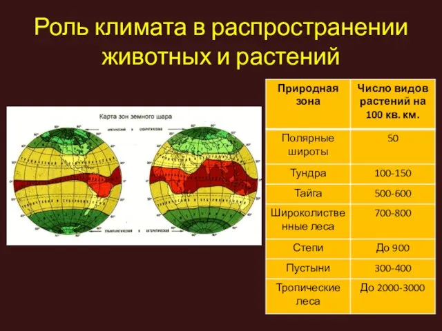 Роль климата в распространении животных и растений