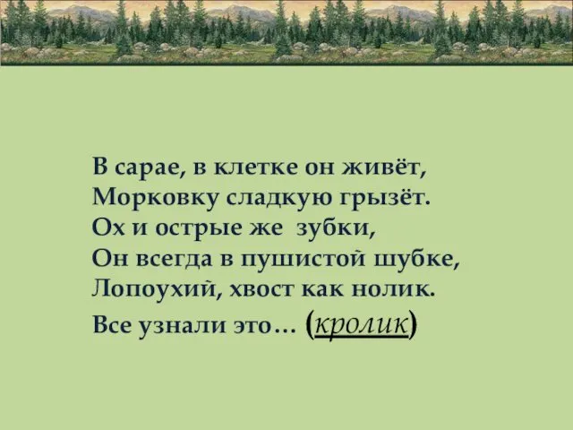 В сарае, в клетке он живёт, Морковку сладкую грызёт. Ох