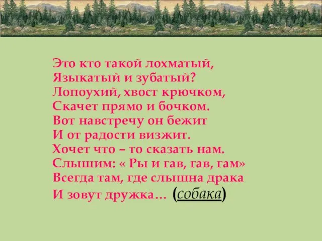 Это кто такой лохматый, Языкатый и зубатый? Лопоухий, хвост крючком,