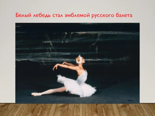 Белый лебедь стал эмблемой русского балета