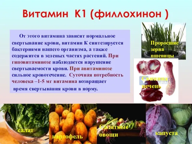 Витамин К1 (филлохинон ) От этого витамина зависит нормальное свертывание крови, витамин К