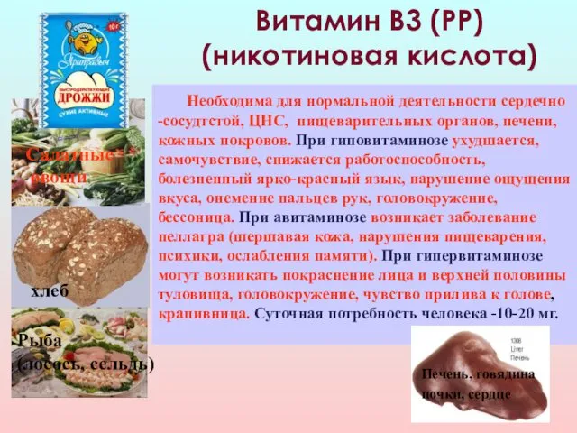Витамин В3 (РР) (никотиновая кислота) хлеб Необходима для нормальной деятельности