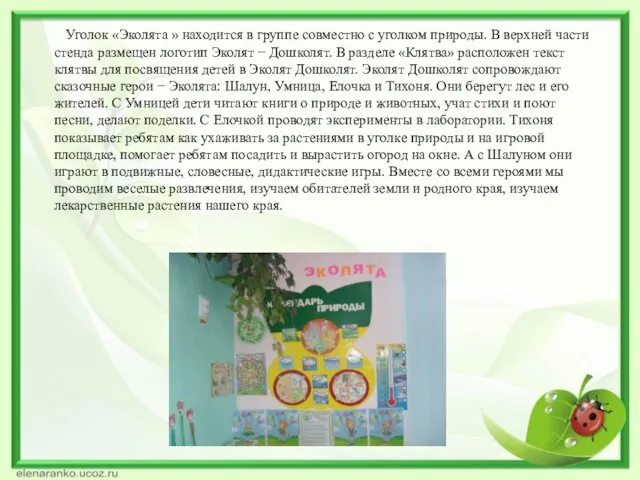 Уголок «Эколята » находится в группе совместно с уголком природы.