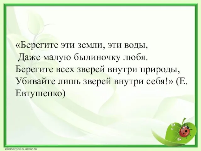 «Берегите эти земли, эти воды, Даже малую былиночку любя. Берегите