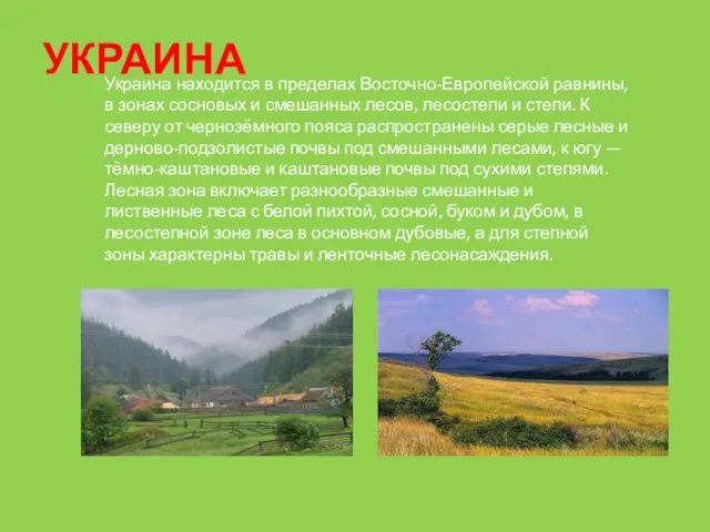 УКРАИНА Украина находится в пределах Восточно-Европейской равнины, в зонах сосновых и смешанных лесов,