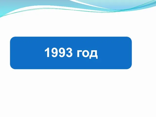 1993 год