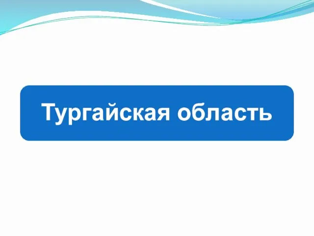 Тургайская область