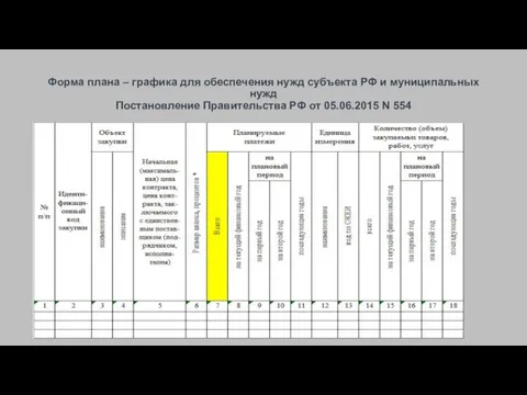 Форма плана – графика для обеспечения нужд субъекта РФ и