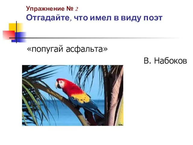 Упражнение № 2 Отгадайте, что имел в виду поэт «попугай асфальта» В. Набоков