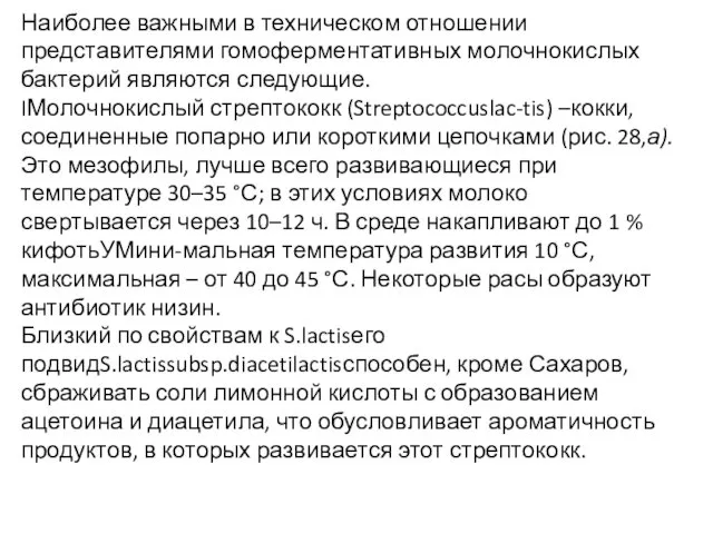 Наиболее важными в техническом отношении представителями гомоферментативных молочнокислых бактерий являются