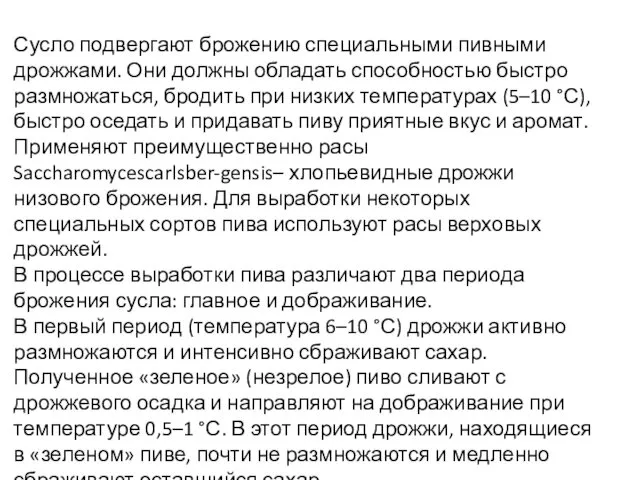 Сусло подвергают брожению специальными пивными дрожжами. Они должны обладать способностью