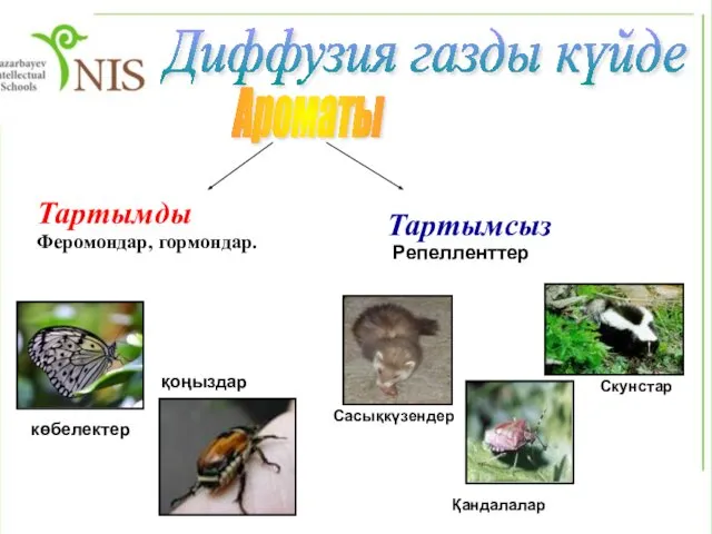 Тартымды Феромондар, гормондар. Диффузия газды күйде Ароматы көбелектер қоңыздар Сасықкүзендер Қандалалар Скунстар Тартымсыз Репелленттер