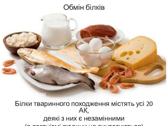 Обмін білків Білки тваринного походження містять усі 20 АК, деякі