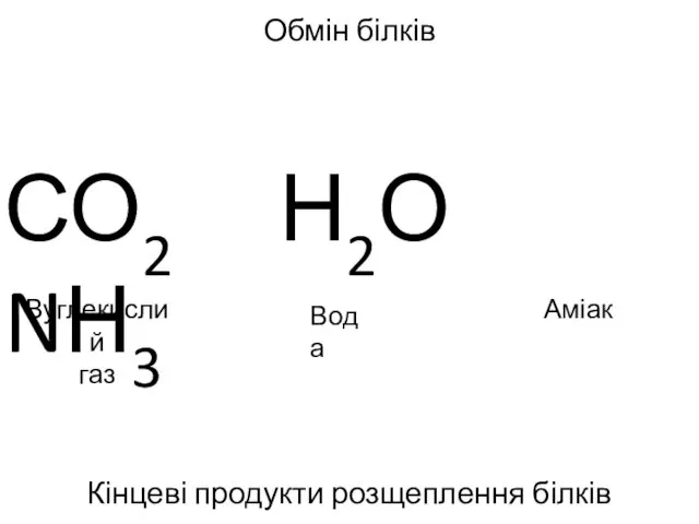 Обмін білків Кінцеві продукти розщеплення білків СО2 Н2О NН3 Вуглекислий газ Вода Аміак