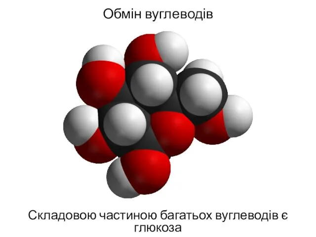 Обмін вуглеводів Складовою частиною багатьох вуглеводів є глюкоза