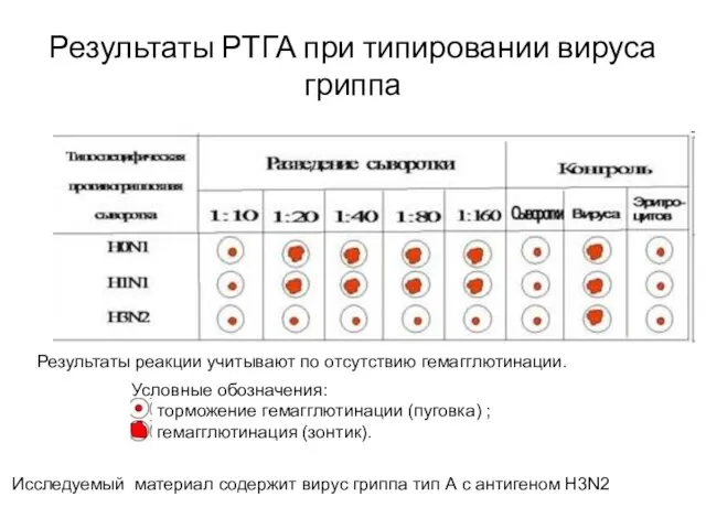 Результаты РТГА при типировании вируса гриппа Условные обозначения: - торможение