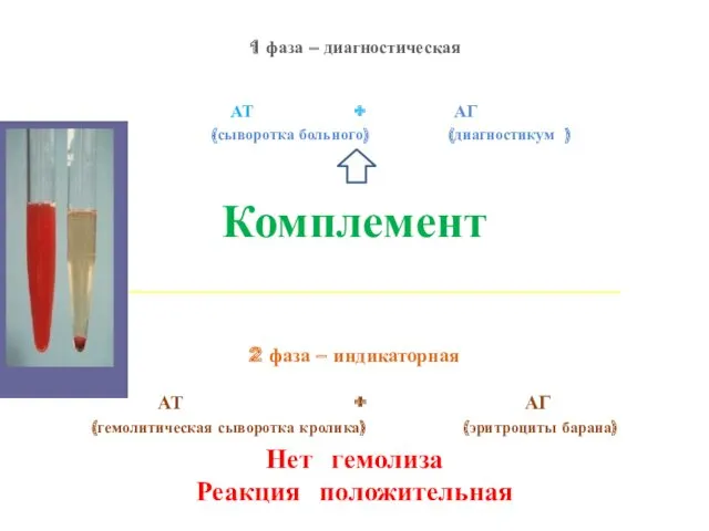 1 фаза – диагностическая АТ + АГ (сыворотка больного) (диагностикум