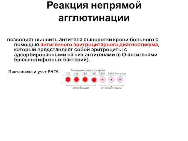 Реакция непрямой агглютинации позволяет выявить антитела сыворотки крови больного с